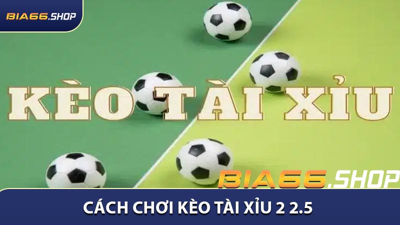 Cách chơi kèo tài xỉu 2 2.5 là như thế nào một cách hiệu quả