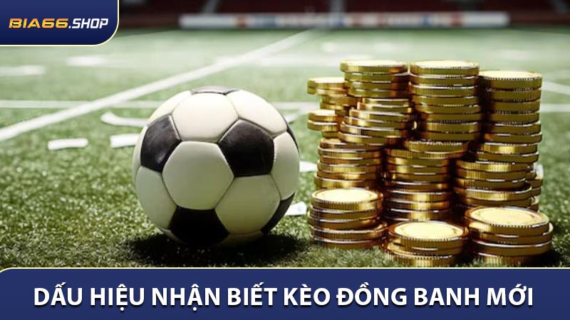 Dấu hiệu nhận biết kèo đồng banh mới cần nắm bắt