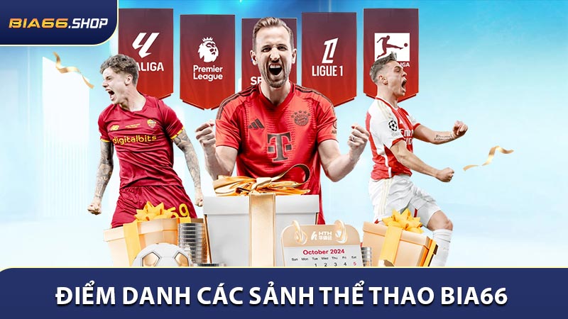Điểm danh các sảnh thể thao BIA66 được tin dùng nhất