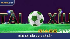 Kèo Tài Xỉu 2 2.5 Là Gì? Hướng Dẫn Chi Tiết Cho Người Mới