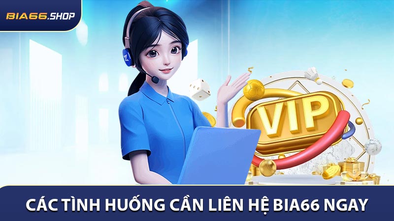 Các tình huống cần liên hệ BIA66 ngay